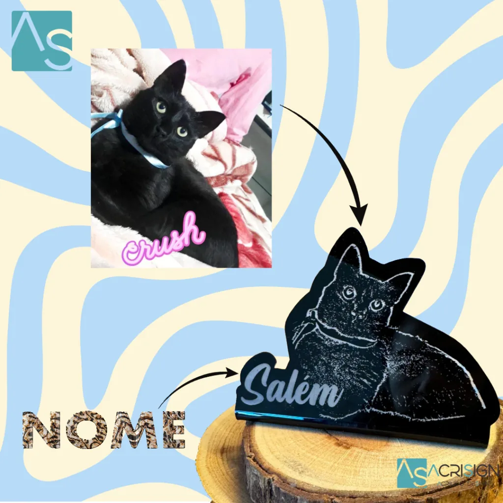 Placa com a foto e o nome de um gato